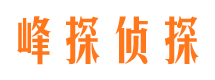 长宁区市婚姻调查